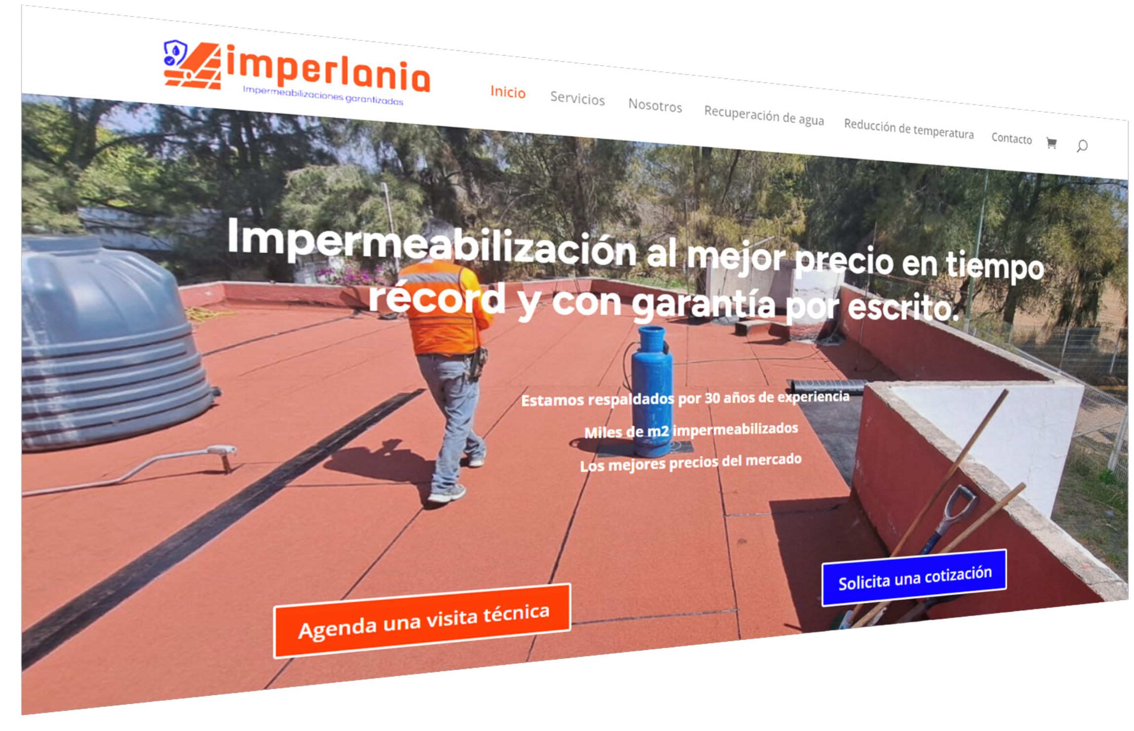 programación de sitios web